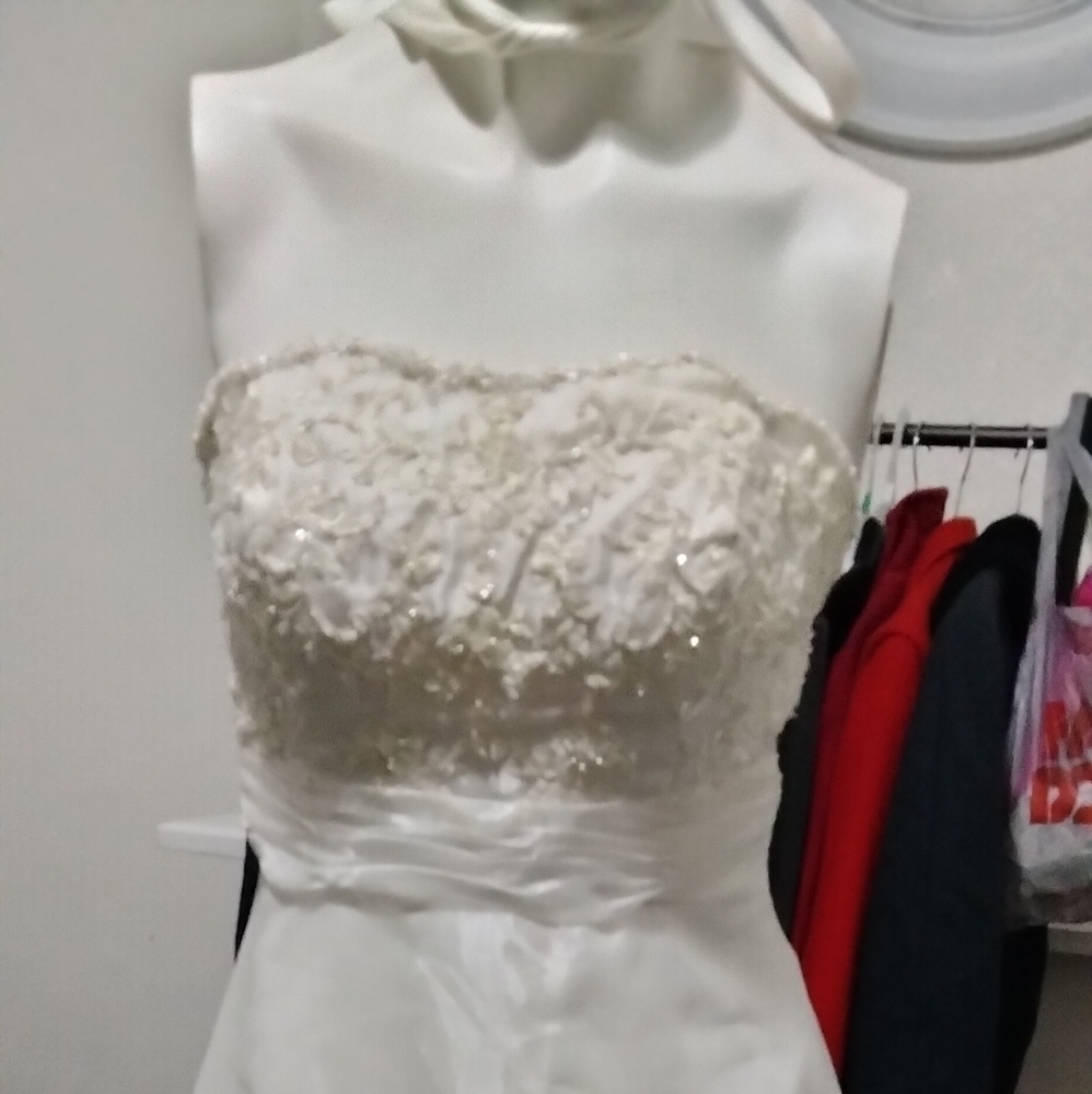 Satin Vintage Evening/ Bride Dress Wclutch - Picture 9 of 11